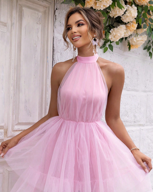 Halter Neck Backless Mesh Dress