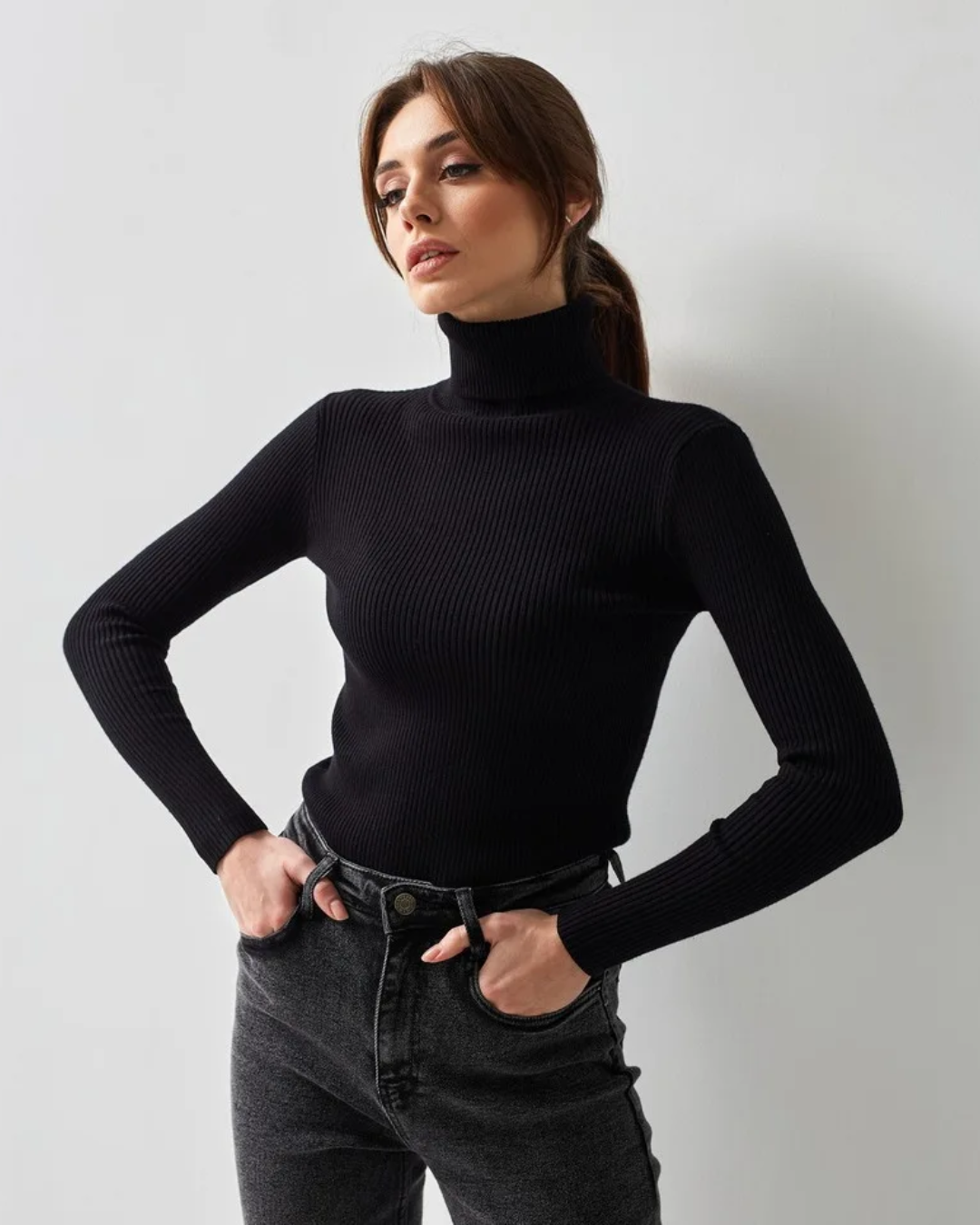 Long Sleeve Slim Turtleneck Sweater   