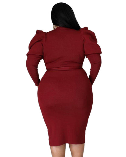 Plus Size Long Sleeve Slim Fit Dress   