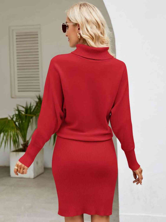 Turtle Neck Long Sleeve Ribbed Sweater Dress   